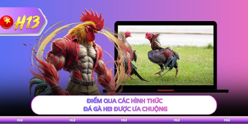 Điểm qua các hình thức đá gà H13 được ưa chuộng