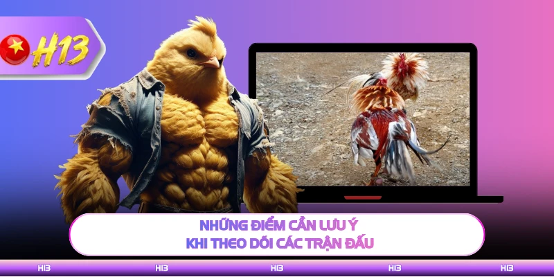Những điểm cần lưu ý khi theo dõi các trận đấu