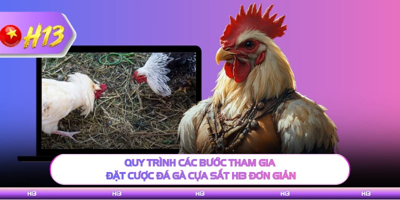 Quy trình các bước tham gia đặt cược đá gà cựa sắt H13 đơn giản