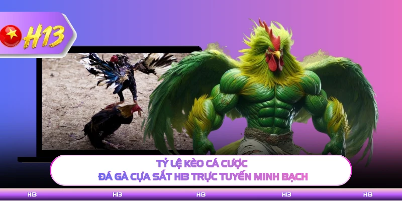 Tỷ lệ kèo cá cược đá gà cựa sắt H13 trực tuyến minh bạch